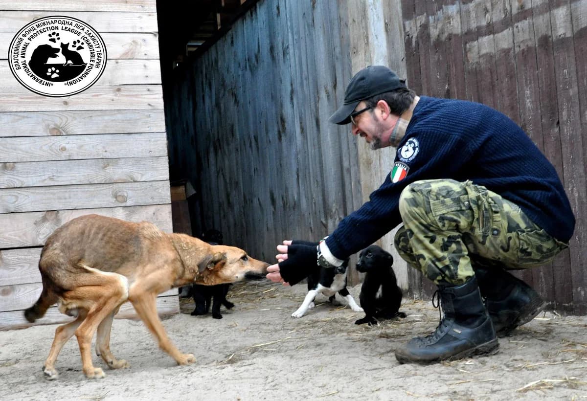 Foxy ( Lady ), 5yo Mixed Breed for adoption at Rifugio Italia KJ2