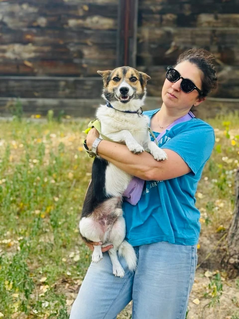 Darik (Дарік), male 4yo mixed breed for adoption at Sirius Shelter, Kyiv